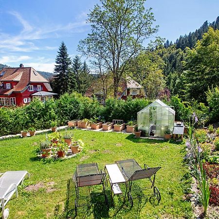 Villa Sonnenwinkel Тодтмос Экстерьер фото